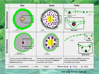 Ver pág.131do manual 