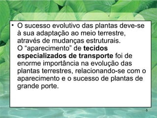 O sucesso evolutivo das plantas deve-se à sua adaptação ao meio terrestre, através de mudanças estruturais. O “aparecimento” de  tecidos especializados de transporte  foi de enorme importância na evolução das plantas terrestres, relacionando-se com o aparecimento e o sucesso de plantas de grande porte.  