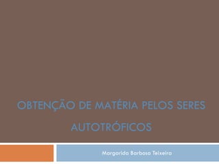 Margarida Barbosa Teixeira OBTENÇÃO DE MATÉRIA PELOS SERES AUTOTRÓFICOS 
