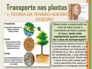 Transporte nas plantas
 TEORIA DA TENSÃO-ADESÃO-
             -COESÃO
                   Deste modo a evaporação ao
                       nível da folha causa o
                    movimento de toda a coluna
                        de água, tanto mais
                    rapidamente quanto maior
                   for a taxa de transpiração!!!
                  Este processo apenas funciona se
                  a corrente não for quebrada, o que
                    pode acontecer por interposição
                  de bolhas de ar. Se a corrente não
                  for reestabelecida, o vaso xilémico
                  deixa de ser funcional. Neste caso
                    a seiva bruta pode passar para
                    outros elementos dos vasos ou
                  traqueídos e o transporte contínua!
 