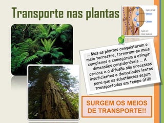 Transporte nas plantas




               SURGEM OS MEIOS
               DE TRANSPORTE!!
 