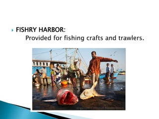  FISHRY HARBOR:
Provided for fishing crafts and trawlers.
 