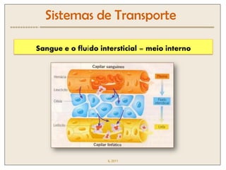 Sistemas de Transporte

Sangue e o fluído intersticial = meio interno




                    IL 2011
 
