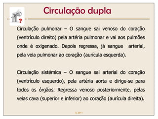 Circulação dupla
Circulação pulmonar – O sangue sai venoso do coração
(ventrículo direito) pela artéria pulmonar e vai aos pulmões
onde é oxigenado. Depois regressa, já sangue           arterial,
pela veia pulmonar ao coração (aurícula esquerda).


Circulação sistémica – O sangue sai arterial do coração
(ventrículo esquerdo), pela artéria aorta e dirige-se para
todos os órgãos. Regressa venoso posteriormente, pelas
veias cava (superior e inferior) ao coração (aurícula direita).

                            IL 2011
 