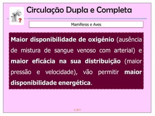 Circulação Dupla e Completa
                   Mamíferos e Aves



Maior disponibilidade de oxigénio (ausência
de mistura de sangue venoso com arterial) e
maior eficácia na sua distribuição (maior
pressão e velocidade), vão permitir maior
disponibilidade energética.



                    IL 2011
 
