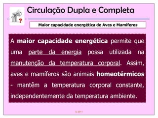 Circulação Dupla e Completa
         Maior capacidade energética de Aves e Mamíferos



A maior capacidade energética permite que
uma parte da energia possa utilizada na
manutenção da temperatura corporal. Assim,
aves e mamíferos são animais homeotérmicos
- mantêm a temperatura corporal constante,
independentemente da temperatura ambiente.

                          IL 2011
 
