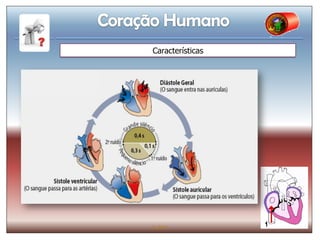 Características




IL 2011
 