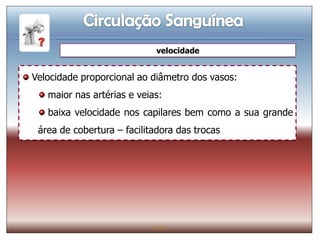 velocidade


Velocidade proporcional ao diâmetro dos vasos:
   maior nas artérias e veias:
   baixa velocidade nos capilares bem como a sua grande
 área de cobertura – facilitadora das trocas




                            IL 2011
 