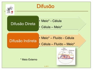 Difusão

                       • Meio* - Célula
Difusão Direta
                       • Célula – Meio*


                       • Meio* – Fluído - Célula
Difusão Indireta
                       • Célula – Fluído – Meio*



      * Meio Externo

                          IL 2011
 