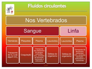 Nos Vertebrados
               Sangue                                         Linfa
Hemácias     Plaquetas      Plasma         Leucócitos   Leucócitos     Plasma


                            Transporte                               Transporte de
                          dos elementos
                            do sangue,
                                                                       leucócitos,
Transporte                                                             nutrientes,
de O2 e de   Coagulação     nutrientes,     Defesa do   Defesa do
                          CO2, produtos                              CO2, produtos
algum CO2                                   organismo   organismo       excreção,
                           de excreção,
                           hormonas e                                 anticorpos e
                            anticorpos                                  hormonas

                                      IL 2011
 