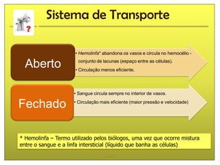 Sistema de Transporte

                      • Hemolinfa* abandona os vasos e circula no hemocélio -

  Aberto               conjunto de lacunas (espaço entre as células).
                      • Circulação menos eficiente.




                     • Sangue circula sempre no interior de vasos.

Fechado              • Circulação mais eficiente (maior pressão e velocidade)




* Hemolinfa – Termo utilizado pelos biólogos, uma vez que ocorre mistura
entre o sangue e a linfa intersticial (líquido que banha as células)
                                    IL 2011
 