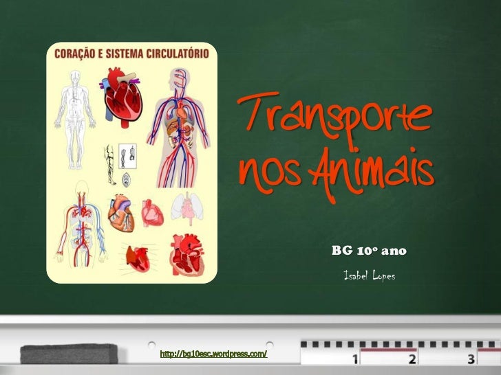Transportenos Animais     BG 10º ano      Isabel Lopes 