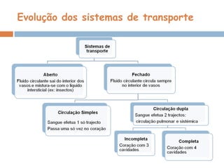 Evolução dos sistemas de transporte 