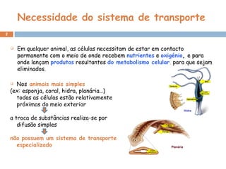 Necessidade do sistema de transporte Em qualquer animal, as células necessitam de estar em contacto permanente com o meio de onde recebem  nutrientes  e  oxigénio ,  e para onde lançam  produtos   resultantes  do metabolismo celular ,  para que sejam eliminados. Nos   animais mais simples   (ex: esponja, coral, hidra, planária…) todas as células estão relativamente próximas do meio exterior a troca de substâncias realiza-se por difusão simples não possuem um sistema de transporte especializado 