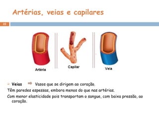 Artérias, veias e capilares Veias   Vasos que se dirigem ao coração. Têm paredes espessas, embora menos do que nas artérias.  Com menor elasticidade pois transportam o sangue, com baixa pressão, ao coração. 
