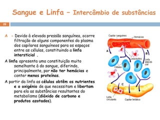 Sangue e Linfa –  Intercâmbio de substâncias A  -  Devido à elevada pressão sanguínea, ocorre filtração de alguns componentes do plasma dos capilares sanguíneos para os espaços entre as células, constituindo a  linfa intersticial .  A  linfa  apresenta uma constituição muito semelhante à do sangue, diferindo, principalmente, por  não ter hemácias  e conter  menos proteínas .  A partir da linfa as  células obtêm os nutrientes e o oxigénio  de que necessitam e  libertam  para ela as substâncias resultantes do metabolismo ( dióxido de carbono e produtos azotados ). 