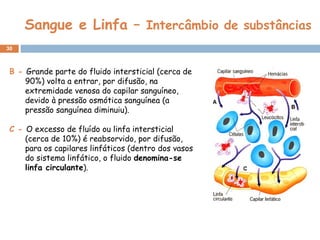 Sangue e Linfa –  Intercâmbio de substâncias B -  Grande parte do fluido intersticial (cerca de 90%) volta a entrar, por difusão, na extremidade venosa do capilar sanguíneo, devido à pressão osmótica sanguínea (a pressão sanguínea diminuiu). C -  O excesso de fluído ou linfa intersticial (cerca de 10%) é reabsorvido, por difusão, para os capilares linfáticos (dentro dos vasos do sistema linfático, o fluido  denomina-se linfa circulante ). 