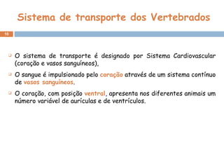 Sistema de transporte dos Vertebrados O sistema de transporte é designado por Sistema Cardiovascular (coração e vasos sanguíneos),  O sangue é impulsionado pelo   coração  através de um sistema contínuo de  vasos sanguíneos . O coração, com posição  ventral ,  apresenta nos diferentes animais um número variável de aurículas e de ventrículos. 