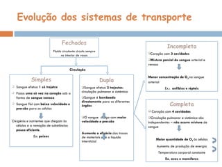 Evolução dos sistemas de transporte Fechados Fluido circulante circula sempre no interior de vasos Simples Sangue efetua  1 só trajetco Passa  uma só vez no coração  sob a forma de  sangue venoso Sangue flui com  baixa velocidade e pressão  para as células Oxigénio e nutrientes que chegam às células e a remoção de substâncias  pouco eficiente .  Ex:  peixes Dupla Sangue efetua  2 trajectos : circulação pulmonar e sistémica Sangue é  bombeado   directamente  para os diferentes  órgão s O sangue  chega com  maior velocidade e pressão Aumenta a eficácia  das trocas de materiais com o líquido intersticial Circulação Incompleta Coração com  3 cavidades  Mistura parcial de sangue  arterial e venoso Menor concentração de O 2  no sangue arterial Ex.:  anfíbios e répteis Completa Coração com  4 cavidades  Circulação pulmonar e sistémica são independentes –  não ocorre mistura  de sangue Maior quantidade de O 2  às células Aumento de produção de energia Temperatura corporal constante Ex. aves e mamíferos 