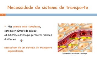Necessidade do sistema de transporte Nos  animais mais complexos ,  com maior número de células,  as substâncias têm que percorrer maiores distâncias necessitam de um sistema de transporte especializado   Trocas entre as células e o sangue 