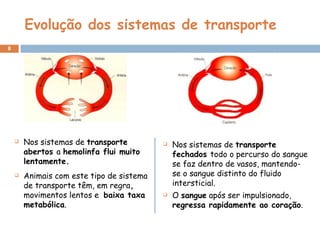 Evolução dos sistemas de transporte Nos sistemas de  transporte abertos  a  hemolinfa flui muito lentamente. Animais com este tipo de sistema de transporte têm, em regra ,  movimentos lentos e  baixa taxa metabólica .   Nos sistemas de  transporte fechados  todo o percurso do sangue se faz dentro de vasos, mantendo-se o sangue distinto do fluido intersticial.  O  sangue  após ser impulsionado,  regressa rapidamente ao coração . 