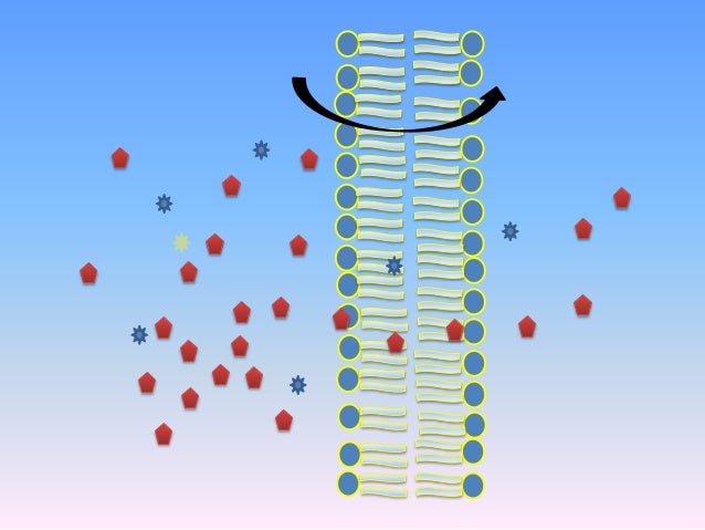 Transporte pasivo y activo