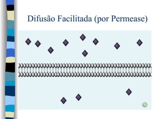 Difusão Facilitada (por Permease) 