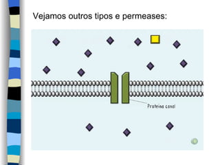 Vejamos outros tipos e permeases: 