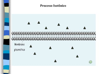 Processo Isotônico 