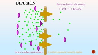 Sangre, capilares peritoneales Cavidad peritoneal: solución diálisis
DIFUSIÓN Peso molecular del soluto
> PM = < difusión
 