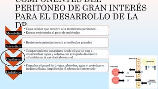 Mesotelio
•Capa celular que recubre a la membrana peritoneal
•Escasa resistencia al paso de moléculas
Intersticio
•Resistencia principalmente a moléculas grandes
Capilares
•Compartimiento sanguíneo desde el que se van a
intercambiar agua y solutos con el líquido dializante
infundido en la cavidad abdominal
Linfáticos
•Cumplen el papel de drenar, absorber, agua y proteínas e
incluso células, impidiendo el edema del intersticio
 
