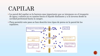  La pared del capilar es la barrera mas importante que se interpone en el trasporte
de agua y solutos en su camino hacia el líquido dializante y a la inversa desde la
cavidad peritoneal hasta la sangre.
 Para permitir este paso se han descrito tres tipos de poros en la pared de los
capilares.
 