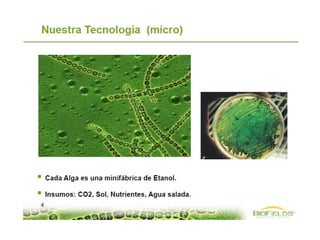 EL VEHICULO ELECTRICO Y LA CIUDAD DE MADRID
Incentivos para la promoción del vehículo eléctrico
(Octubre 2012)
Oficina de Movilidad Sostenible
Ayuntamiento de Madrid
Mapa Tecnologico de Mobilidad Electrica
Observatorio Tecnológico de la Energía
jueves, 12 de enero de 2012
EL VEHICULO ELECTRICO PARA FLOTAS
IDAE
España
OPORTUNIDADES Y RIEZGOS DEL TRANSPORTE ELECTRICO EN BOGOTÁ Y COLOMBIA
Carlosfelipe Pardo, MSc LSE
 