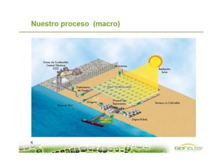 EL VEHÍCULO ELECTRICO : HACIA UN MODELO DE TRANSPORTE SOSTENIBLE: ¿REALIDAD O FICCIÓN ?
Consultoría Empresal
DYNAMICA
Bogotá, Colombia.
ESTRATEGIA INTEGRAL PARA EL IMPULSO DEL VEHÍCULO ELÉCTRICO EN ESPAÑA
Programa MOVELE
España
2010
ANÁLISIS DE FACTORES ECONÓMICOS, TECNOLÓGICOS Y POLÍTICOS EN EL FUTURO MERCADO DEL
VEHÍCULO ELÉCTRICO EN ESPAÑA MEDIANTE DINÁMICA DE SISTEMAS
Universidad de Valladolid
Escuela de Ingenierías Industriales
Departamento de Ingeniería de Sistemas y Automáticas
Israel García García
VIDEOS GOOGLE DRIVE: https://drive.google.com/folderview?id=0B-ksTqQeqgL_d1J1VklfWFBaWGM&usp=sharing
 
