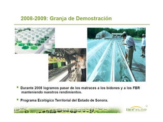 biodreactorcrc@hotmail.com , biodreactorcrc@gmail.com
ONG Costa Rica Limpia
 