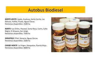 NORTE-OESTE: Upala, Guatuso, Santa Cecilia, Las
Delicias, Yolillal, Pizote, Aguas Claras.
Hectareas disponibles: 2500 ha
 
NORTE: Los Chiles, Pocosol, Santa Roca, Cutris, Caño
Negro, El Amparo, San Jorge.
Hectareas disponibles: 7500 ha
 
SARAPIQUI: Pital, Venecia, Aguas Zarcas.
Hectareas disponibles: 2500 ha
 
CARIBE-NORTE: La Virgen, Horquetas, Puerto Viejo.
Hectareas disponibles: 8000 ha
Autobus Biodiesel
 