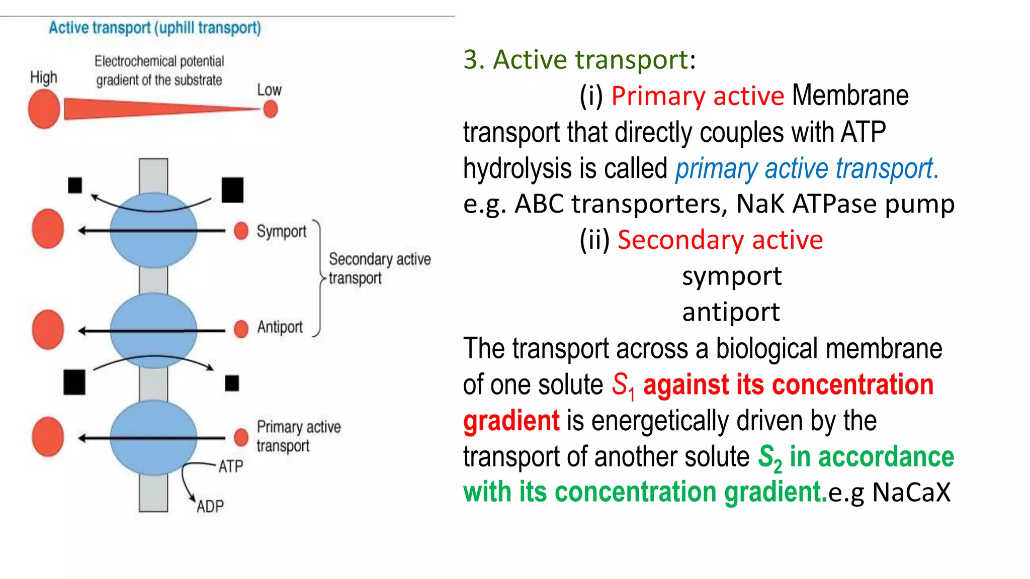 3. Active transport:
(i) Primary active Membrane
transport that directly couples with ATP
hydrolysis is called primary active transport.
e.g. ABC transporters, NaK ATPase pump
(ii) Secondary active
symport
antiport
The transport across a biological membrane
of one solute S1 against its concentration
gradient is energetically driven by the
transport of another solute S2 in accordance
with its concentration gradient.e.g NaCaX
 