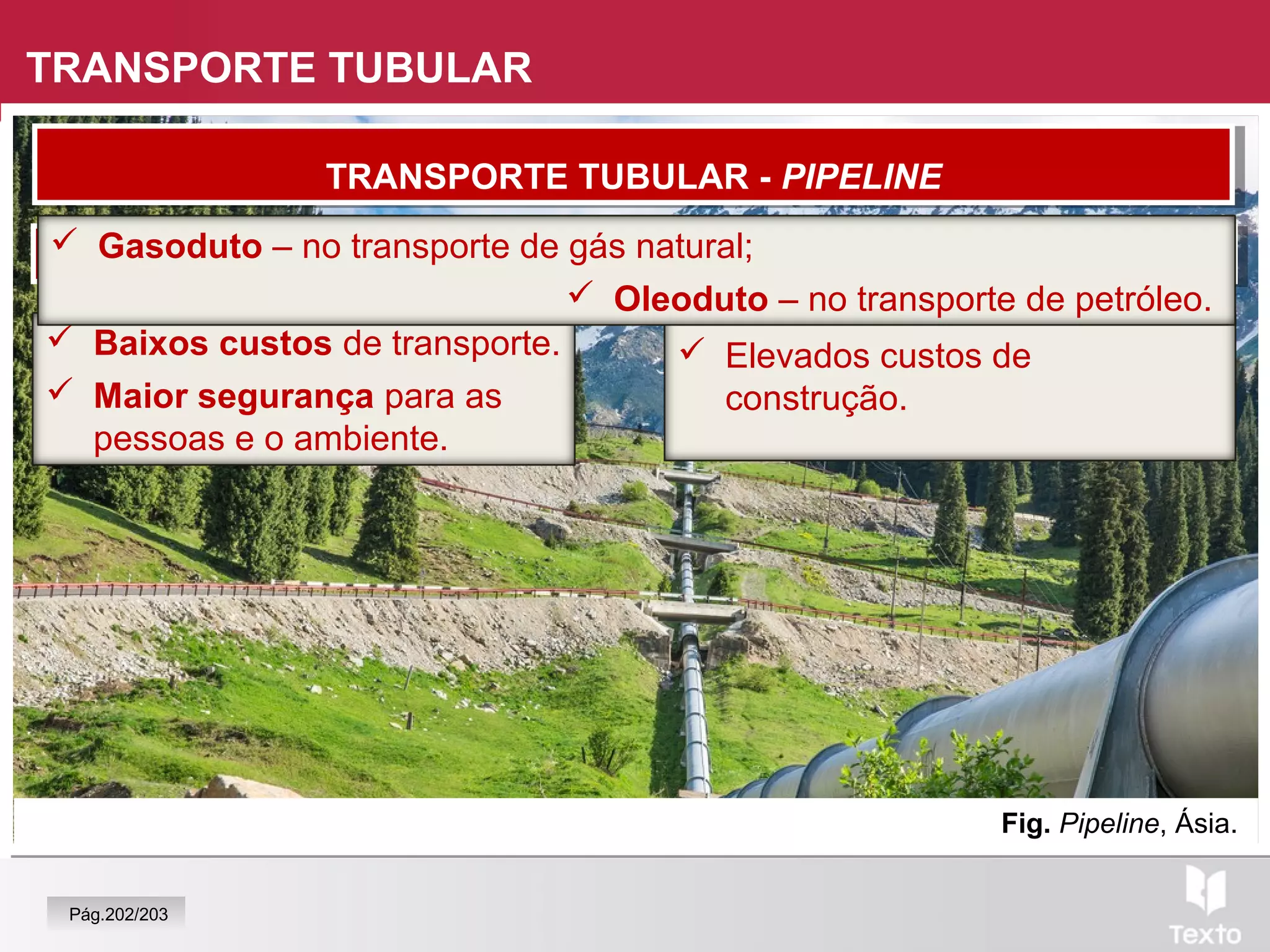 Fig. Pipeline, Ásia.
TRANSPORTE TUBULAR
 Baixos custos de transporte.
 Maior segurança para as
pessoas e o ambiente.
VANTAGENSVANTAGENS DESVANTAGENSDESVANTAGENS
 Elevados custos de
construção.
 Gasoduto – no transporte de gás natural;
 Oleoduto – no transporte de petróleo.
TRANSPORTE TUBULAR - PIPELINETRANSPORTE TUBULAR - PIPELINE
Pág.202/203
 