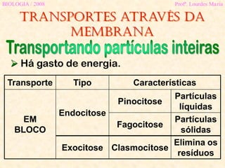 Transportes através da
membrana
BIOLOGIA / 2008 Profª. Lourdes Maria
 Há gasto de energia.
Transporte Tipo Características
EM
BLOCO
Endocitose
Pinocitose
Partículas
líquidas
Fagocitose
Partículas
sólidas
Exocitose Clasmocitose
Elimina os
resíduos
 