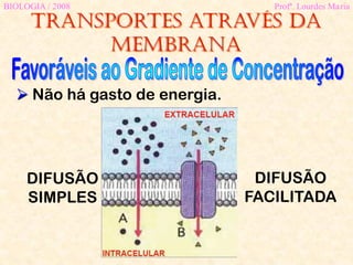 Transportes através da
membrana
BIOLOGIA / 2008 Profª. Lourdes Maria
 Não há gasto de energia.
DIFUSÃO
SIMPLES
DIFUSÃO
FACILITADA
 