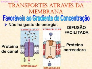 Transportes através da
membrana
BIOLOGIA / 2008 Profª. Lourdes Maria
 Não há gasto de energia.
DIFUSÃO
FACILITADA
Proteína
de canal
Proteína
carreadora
 