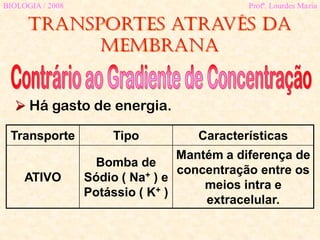 Transportes através da
membrana
BIOLOGIA / 2008 Profª. Lourdes Maria
 Há gasto de energia.
Transporte Tipo Características
ATIVO
Bomba de
Sódio ( Na+ ) e
Potássio ( K+ )
Mantém a diferença de
concentração entre os
meios intra e
extracelular.
 