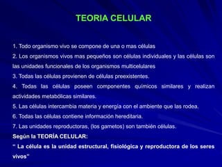 TEORIA CELULAR
1. Todo organismo vivo se compone de una o mas células
2. Los organismos vivos mas pequeños son células individuales y las células son
las unidades funcionales de los organismos multicelulares
3. Todas las células provienen de células preexistentes.
4. Todas las células poseen componentes químicos similares y realizan
actividades metabólicas similares.
5. Las células intercambia materia y energía con el ambiente que las rodea.
6. Todas las células contiene información hereditaria.
7. Las unidades reproductoras, (los gametos) son también células.
Según la TEORÍA CELULAR:
“ La célula es la unidad estructural, fisiológica y reproductora de los seres
vivos”
 