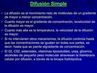 Difusión Simple
 La difusión es el movimiento neto de moléculas de un gradiente
de mayor a menor concentración.
 Cuanto mayor es el gradiente de concentración, lavelocidad de
la difusión es mayor.
 Cuanto más alta es la temperatura, la velocidad de la difusión
es mayor.
 Si no intervienen otros mecanismos, la difusión continúa hasta
que las concentraciones se igualan en todas sus partes, es
decir, hasta que se pierde elgradiente de concentración.
 El 02, C02, esteroides, vitaminas liposolubles, urea, glicerina,
alcoholes de pequeño peso molecular atraviesan la membrana
celular por difusión, a través de la bicapa fosfolipídica.
 