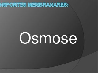Osmose
 