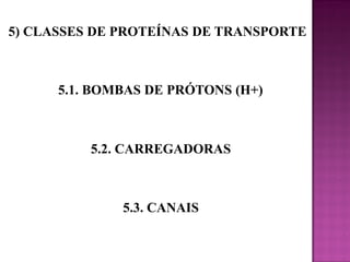 5) CLASSES DE PROTEÍNAS DE TRANSPORTE

5.1. BOMBAS DE PRÓTONS (H+)

5.2. CARREGADORAS

5.3. CANAIS

 