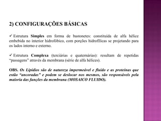 2) CONFIGURAÇÕES BÁSICAS
 Estrutura Simples em forma de bastonetes: constituída de alfa hélice
embebida no interior hidrofóbico, com porções hidrofílicas se projetando para
os lados interno e externo.
 Estrutura Complexa (terciárias e quaternárias): resultam de repetidas
“passagens” através da membrana (série de alfa hélices).
OBS. Os Lipídios são de natureza impermeável e fluido e as proteínas que
estão “ancoradas” e podem se deslocar nos mesmos, são responsáveis pela
maioria das funções da membrana (MOSAICO FLUIDO).

 