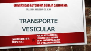 UNIVERSIDAD AUTONOMA DE BAJA CALIFORNIA
TALLER DE BIOLOGIA CELULAR
TRANSPORTE
VESICULAR
 
