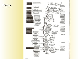 Pasos
 