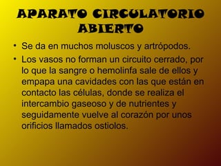 APARATO CIRCULATORIO
ABIERTO
• Se da en muchos moluscos y artrópodos.
• Los vasos no forman un circuito cerrado, por
lo que la sangre o hemolinfa sale de ellos y
empapa una cavidades con las que están en
contacto las células, donde se realiza el
intercambio gaseoso y de nutrientes y
seguidamente vuelve al corazón por unos
orificios llamados ostiolos.

 